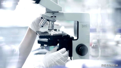 广州化妆品代加工攻略 如何轻松挑选优质工厂与广告设计