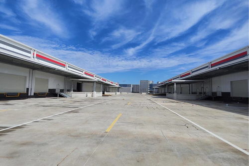 四川顺丰物流园一期建成，成都空港再添发展新引擎